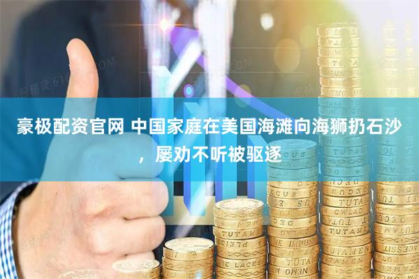 豪极配资官网 中国家庭在美国海滩向海狮扔石沙，屡劝不听被驱逐