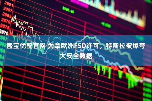 盛宝优配官网 为拿欧洲FSD许可，特斯拉被爆夸大安全数据